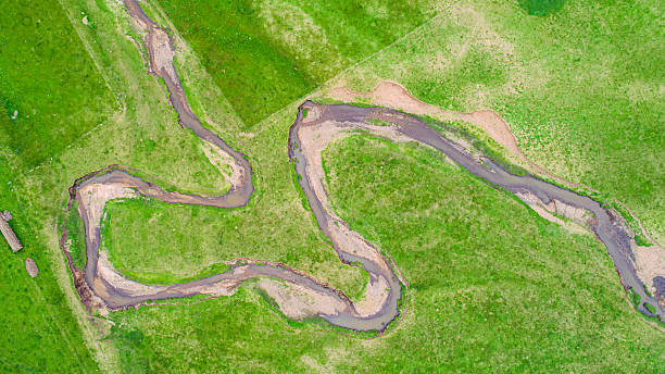 istock Cattle, sheep and rivers on the vast grasslan 2247466347