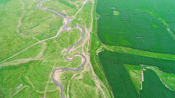 istock Cattle, sheep and rivers on the vast grasslan 2247466404