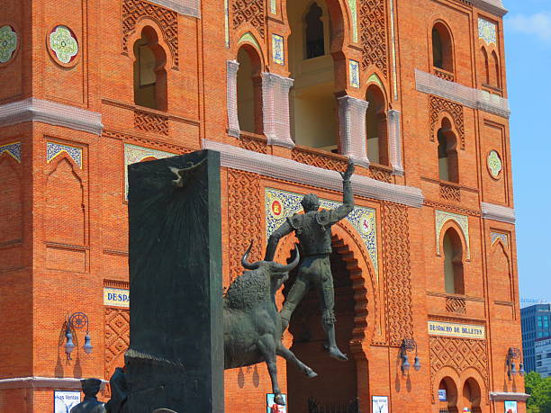 spanish bull in bullring