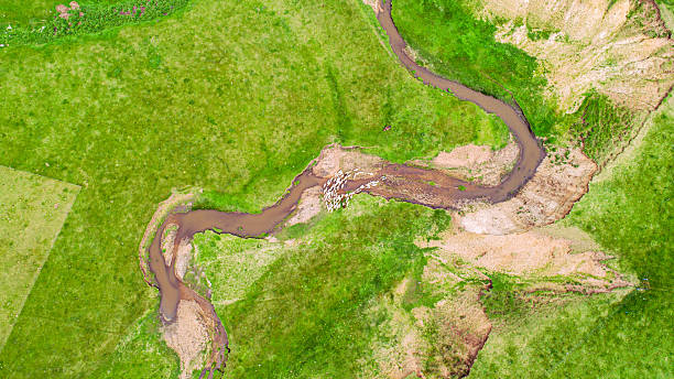 istock Cattle, sheep and rivers on the vast grasslan 2247466914