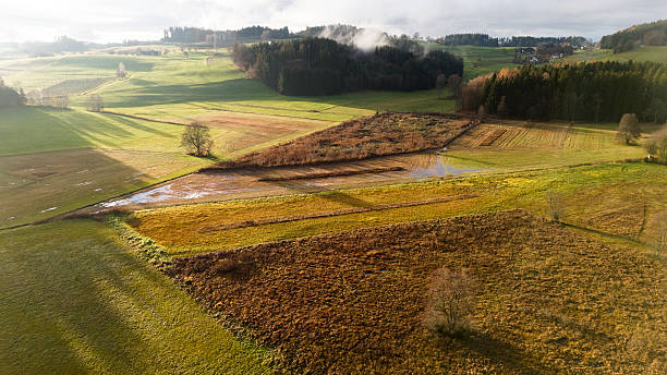 istock Aerial Top-Down View of Green Field with Crop Rows 2247470123