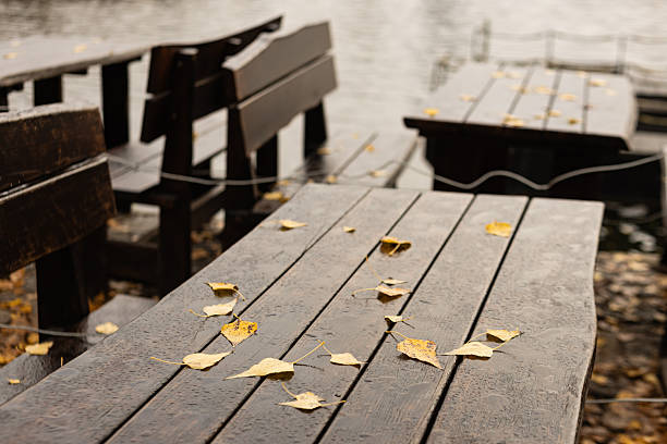 istock Empty wooden tables and benches by river in autumn 2247471239