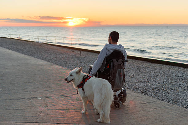 man or woman and Labrador retriever dog sunset by sea. owner and his pet are walking on beach. landscape of nature. silhouettes person background setting sun on ocean. tourism and outdoor recreation