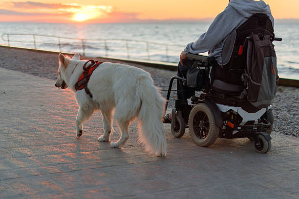 istock Man with disability enjoys sunset walk with dog 2247471520