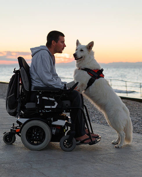 istock Man with disability enjoys sunset with dog 2247471576