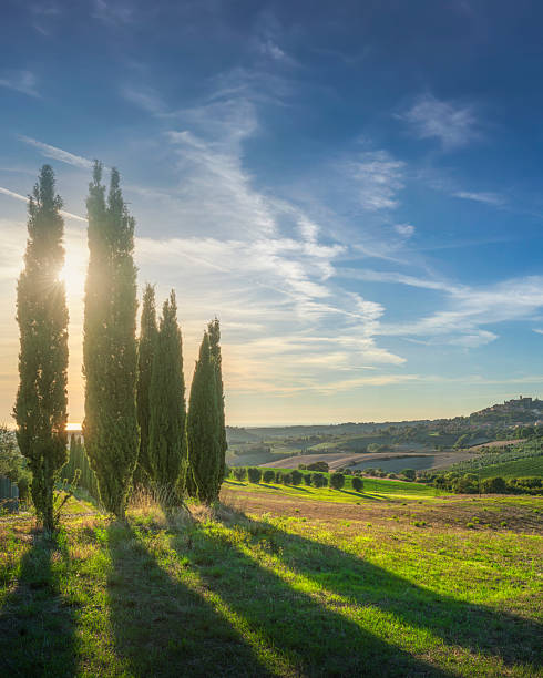 istock Cypress Trees and Casale Marittimo Village in Tuscan Landscape 2247471792