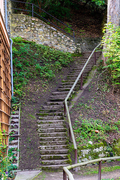 Outdoor stone staircase with metal railing climbing a forested slope, surrounded by greenery and bordered by a stone wall and wooden fence.