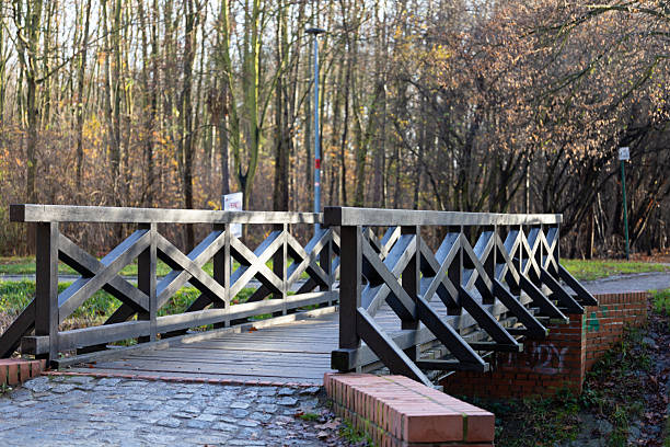 A wooden bridge spans a small waterway in a forest. Trees adorned with autumn hues surround the area. The scene evokes calmness and tranquility, inviting exploration of the trails.