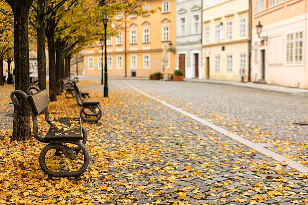 Prague, Czech republic - November 11, 2025: Kampa park road with old benches displaying fallen yellow autumn leaves, vibrant buildings in background