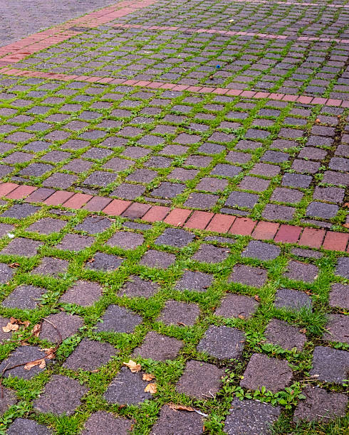 istock Grass growing between cobblestones in parking lot creates sustainable paving 2247474817