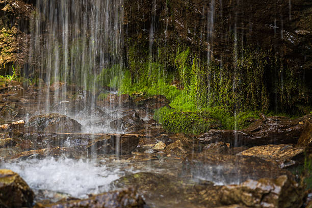 Wasser