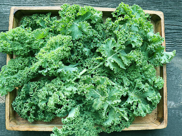 istock Fresh green curly kale leaves in a wooden box. 2247477221