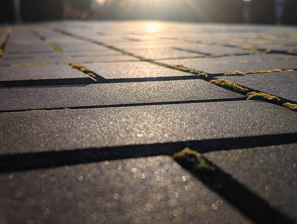 istock low angle close up of paving stones texture with moss and dramatic sunlight 2247479388