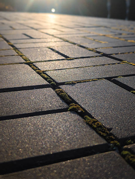 istock vertical low angle close up of paving stones texture with moss and golden sunlight 2247479405