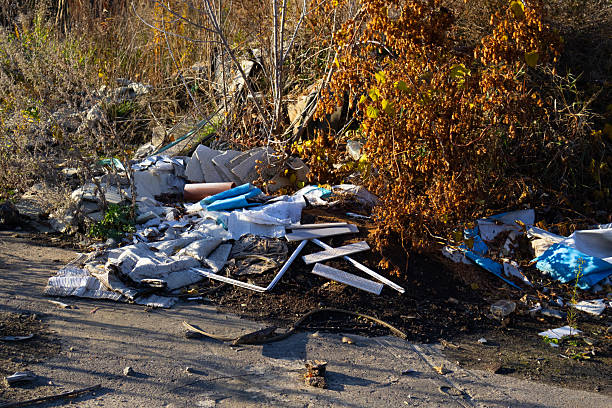 istock Trash and debris are piled along a roadside, surrounded by dry grass and shrubs in a rural setting during daylight 2247488043