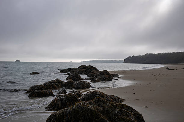 istock Rocky Seaweed-Covered Shoreline on a Misty Coastal Beach 2247489767
