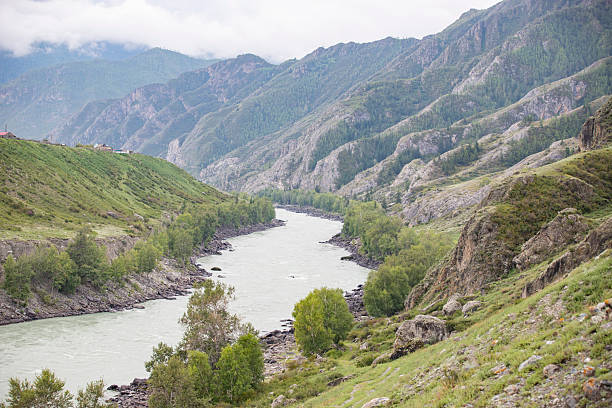A panoramic view of the Katun River flowing through the Altai Mountains in Russia. The photo captures the river winding through rugged mountain terrain, surrounded by lush valleys and pristine natural landscapes.