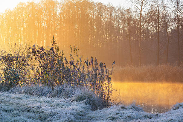 istock Golden Mist Over Frosted River at Autumn Sunrise 2247495869