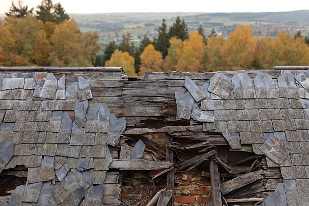 The deteriorated roof shows missing and damaged wood panels and a brick chimney. Green trees are seen above. The roof appears old and neglected.