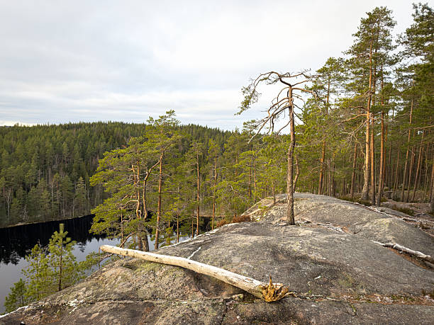 Landscape from Repovesi National Park
