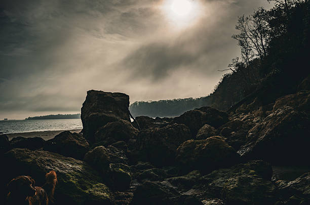 At Schooner Gulch State Beach in Mendocino County, I visited and captured the stones of Bowling Ball Beach.  Here, I used long exposure to capture a misty essence over the smooth stones, bringing mystery and magic to the scenery.