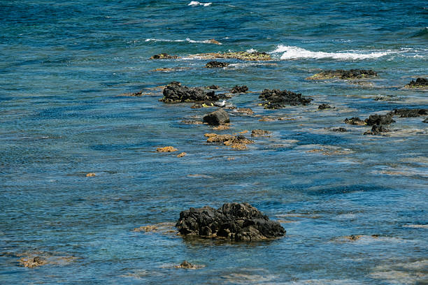 Rocky shoreline in clear blue ocean waters with gentle waves.