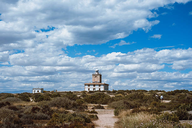 Barbaria cape lighthouse in Formentera with road perspective