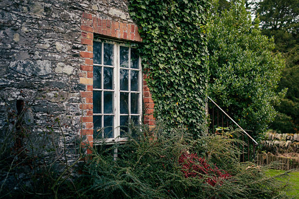 An old stone residential building facade, draped in the vibrant hues of autumn foliage