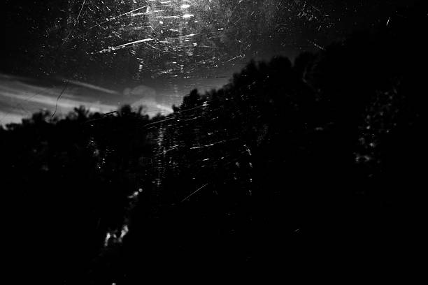 MONOCHROM SENSOR SERIE : A striking monochrome abstraction of a dense forest, captured directly with a black-and-white sensor. Tall trees rise like spectral silhouettes, their bare branches clawing at a sky veiled in diffuse light. Sunbeams pierce the canopy, casting ethereal rays that dance through a mysterious mist. Extreme contrasts between deep shadows and luminous bursts sculpt a dreamlike landscape, where every leaf and trunk becomes an abstract, almost graphic form. Perfect as a creative background for artistic compositions, evoking both serenity and enigma. Free of AI