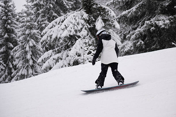 Snowboarder carving down a fresh powder slope with snow-covered pine trees in the background during winter