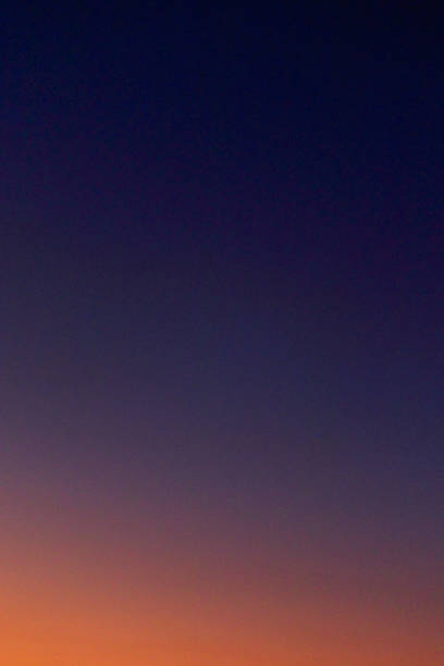 Tall stand of trees in North Carolina silhouetted on a calm night by a red and pink aurora borealis and stars shining behind.