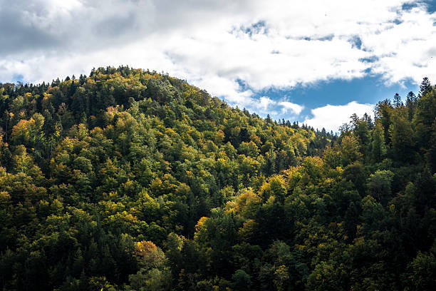 Mountain landscape with forest and cloudy sky in autumn, Slovakia.