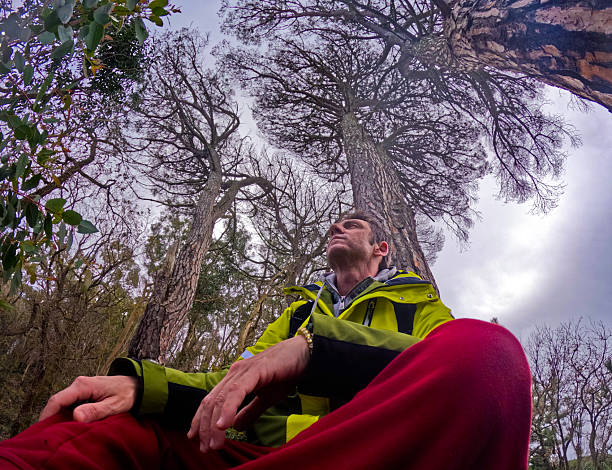 istock Man relaxing under a tree in the Peloritani Mountains in Sicily 2247536949