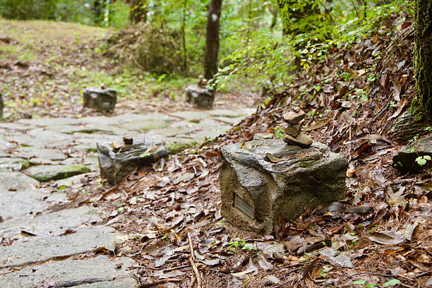 istock Cairns Beside the Old Road 2247542392
