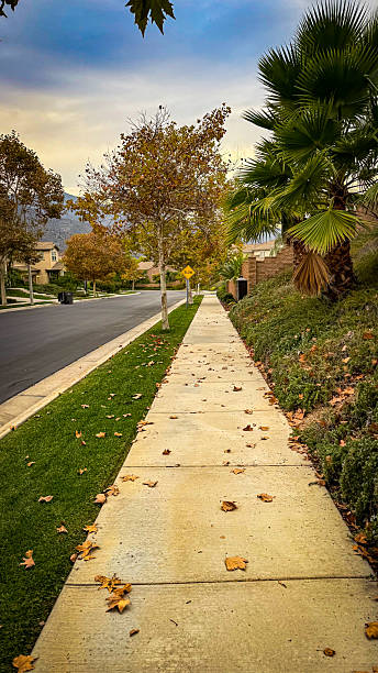 Leaves scatter the sidewalk in this Southern California neighborhood