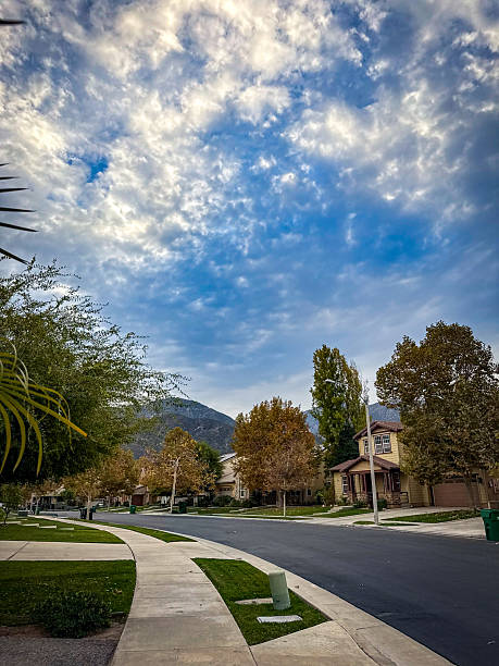 istock Residential sidewalk in Southern California in fall 2247547226