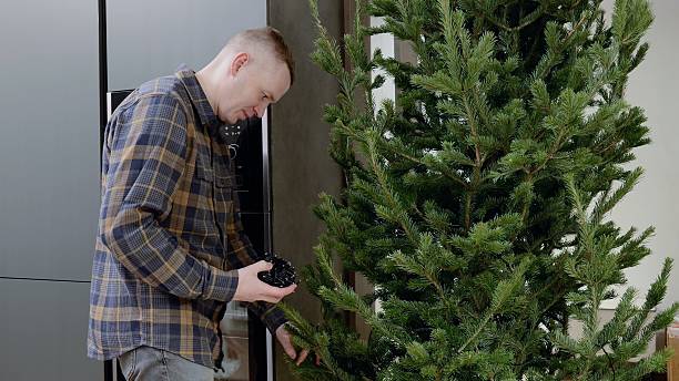 Homeowner decorating festive christmas tree with string lights, creating warm, modern holiday ambiance in contemporary apartment interior