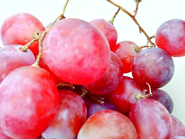 Red grapes on a white background isolated