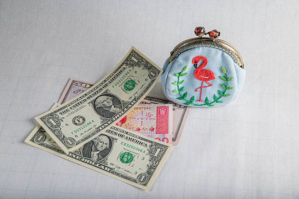 Flamingo coin purse holding us dollar and croatian kuna currency banknotes on a white surface