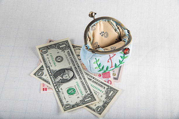 Embroidered coin purse with us dollar banknotes showing financial concept