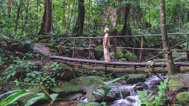 istock A woman standing on bamboo bridge over the waterfall in the forest 2247570012