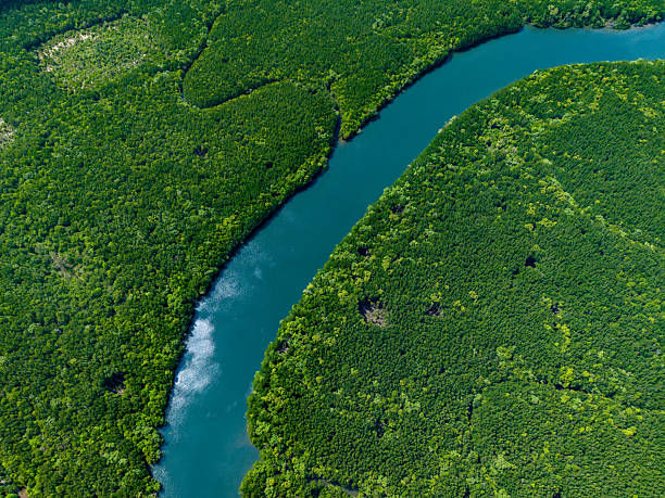 istock Aerial view of a vibrant turquoise river running through dense m 2247577596