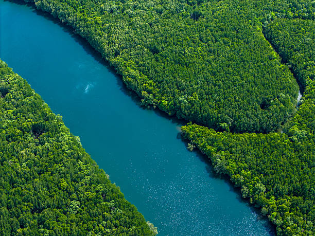 istock Aerial view of a vibrant turquoise river running through dense m 2247577651