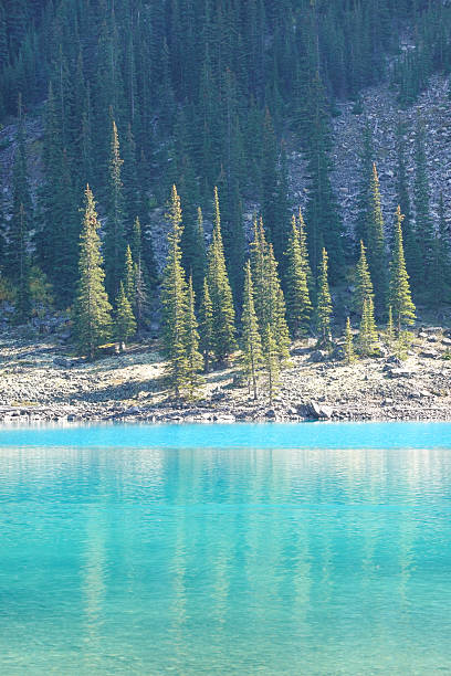 istock Wide view of turquoise lake with forested shoreline 2247579126