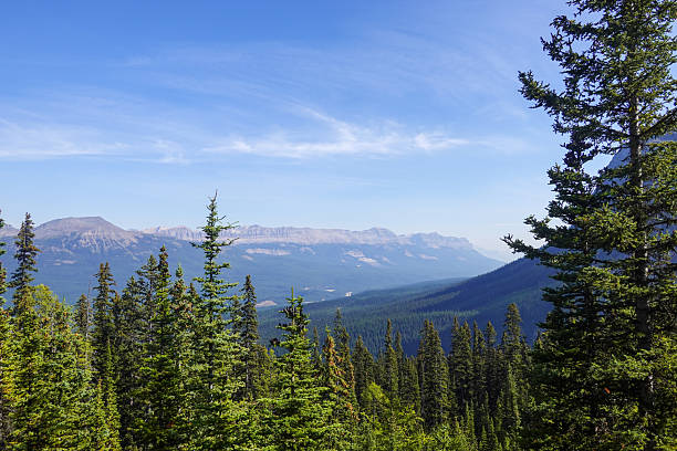 istock Distant town and forested valley seen from high viewpoint 2247579466