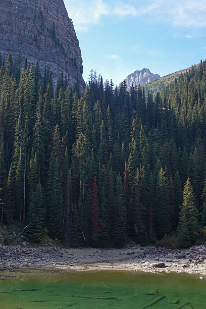 istock Rocky shoreline and greenish mountain lake surrounded by forest 2247579468