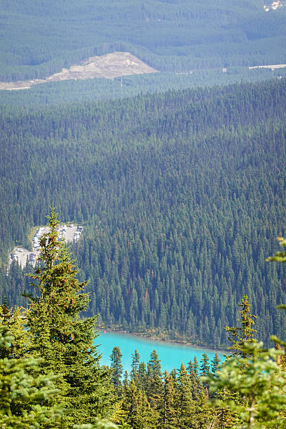 istock Overhead view of winding turquoise lake within forested basin 2247579745