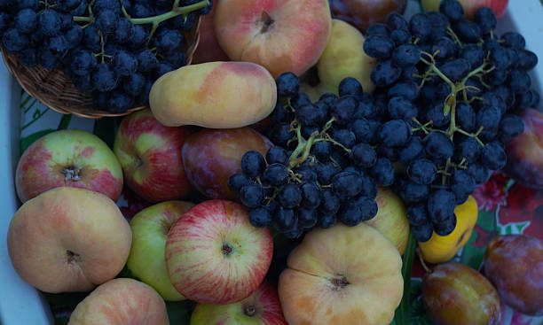 Various summer fruits scattered in the grass