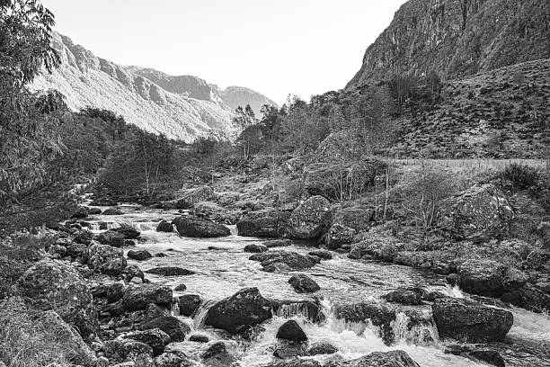 Monochrome picture of Lake Tbikeli taken in Kintrishi Protected Landscape.