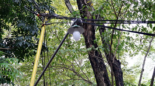 istock Street lamp hangs among trees in park, casting soft light through leaves 2247580599